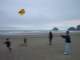 It takes a crew to fly a kite